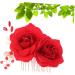 Housoutil 1pc Teasing Combs for Women Hair Clips Classic Hair Comb Hair Accessories for Women Wedding Barrettes for Women Wedding Hair Clip Bridal The Flowers Flower Head Miss Red - Buy Online on GoSupps.com