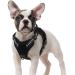 Rabbitgoo dog harness Small dogs anti -train crockery dog adjustable with handles widened robust and wear -resistant tactical dog dishes with metal buckles for hiking (S black) S (1 Pack) black