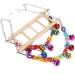 Zerodis Swing Toy with Bells for Parrot Bird Hanging Bridge Swing Bite Climbing Toy Colorful Parrot Acrylic Chain Ladder for Cockatiels Finch African Greys Parrot Budgies Ringnecks Parakeet - Buy Online on GoSupps.com
