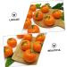 COOPHYA Kitchen Fruit 5pcs Orange Model Toddler Toy Home Accessories Artificial Fruits Fake Fruit Model Kids Toy Simulation Oranges Models Photo Props Child Plastic High Simulation - Buy Online on GoSupps.com