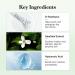 KIOSKIN 31% Reduction in Sebum & 15.5% High-Dose D-Panthenol Calms Redness Repairs Skin Barrier & Locks in Hydration With Heartleaf Extract & Hyaluronic Acid Korean Skincare Top Barrier Cream - Buy Online on GoSupps.com