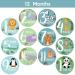 Zoo Animals Baby Monthly Stickers - Jungle Milestone Set for Boy/Girl | Unisex Safari Newborn Monthly Milestones (Set of 24) - Buy Online on GoSupps.com