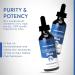 Methylene Blue 1% Compass Lab | USP-Grade Methylthioninium Chloride Liquid | 50ml Glass Dropper | Brain & Cognitive Health Dietary Supplement - Buy Online on GoSupps.com