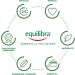 Equilibra Body Shea Hand Kit Nutritive and Protective Shea Hand Cream 100% Vegetable Soap Delicate Gift Box - Buy Online on GoSupps.com