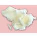 Buy All Natural Organic Lip Balm & Lipstick Base - 3oz | Eco-Friendly & Nourishing - Buy Online on GoSupps.com