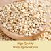 Veggy Duck - White Quinoa Grain (1Kg) - Gluten Free | GMO Free - Buy Online on GoSupps.com