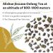 LWXLJMJZC-Taiwan Alishan Jinxuan Oolong Tea-150g (75 cups) Chinese Oolong Tea-Creamy Flavor Loose Leaf Oolong Tea - Buy Online on GoSupps.com