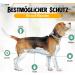 Lubur Flea & Tick Collar for Dogs & Cats - Natural 8-Month Protection Against Fleas & Ticks - Black Color - Buy Online on GoSupps.com