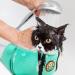 Adjustable Cat Grooming Bag | Anti-Scratch & Bite | Soft Mesh | Durable Polyester | For Nail Trimming & Bathing | Small, Medium & Large Cats - Buy Online on GoSupps.com