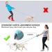 QKTYB Cat Dishes & Leash Set - Retractable Dog Leash with Food Dishes for Cats & Kittens - Perfect for Breakout Pets - Blue - Buy Online on GoSupps.com