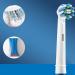 4 PCS Electric Toothbrush Head Electric Toothbrush Heads Tooth Brushes Pack Power Toothbrush Replacement Heads Precision Clean Toothbrush Heads Replacement Toothbrush Heads Compatible with Oral B - Buy Online on GoSupps.com