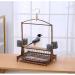 Cage Parakeet Stand Cockatoo Interactive Stand with Stainless Steel Food Cup and Small Parrot Chassis Birdcages Decor (Size : Small) (Small) () - Buy Online on GoSupps.com