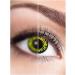 Buy Werwolf Contact Lens - Colored Prescription Annual Lens -1.5 Dioptria for Halloween & Parties - Buy Online on GoSupps.com