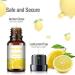 Premium Fruity Essential Oil Set - 10 x 10ml Aromatherapy Kit with Cherry, Mango, Coconut, Lemon, Apple, and More! - Buy Online on GoSupps.com