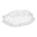 Balacoo Vegetable Growing Mold Garden Fruit Growing Mould Buddha Shaped Fruit Mold Acrylic Small