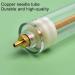 BioTat Syringe for Food | LOUTION INFORGE BIGHT FUTE Injector Kit - 50ml Feeding Solution for Nymphensittic Budgerigars & Parrots - International Shipping Available - Buy Online on GoSupps.com