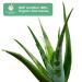 Aloderma 99% Organic Aloe Vera Gel | 300g (10.6 oz) | Bottled within 12 Hours of Harvest | No Sticky Residue | Eco-Friendly - Buy Online on GoSupps.com