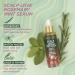 Pacifica Beauty Scalp Love Rosemary Mint Serum - Purifying & Revitalizing Scalp Treatment with Witch Hazel - Sulfate & Silicone Free, Vegan & Cruelty Free - Buy Online on GoSupps.com