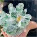 Natural Crystal Rough Very Beautiful 500-600g Phantom-Green Ghost Tibetan Quartz - Buy Online on GoSupps.com