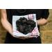 Premium Black Truffle Oil with Whole Black Truffle - 250ml | Vegan & Gluten-Free Ideal for Sauces & Gourmet Dishes - Buy Online on GoSupps.com