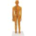 20.9-Inch Female Acupuncture Training Puppet Model - Clear Anatomical Acupuncture Points for Effective Learning - Buy Online on GoSupps.com
