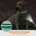 Taglory XL Dog Collar - Soft Padded Neoprene Nylon Adjustable & Reflective Perfect for Training - Turquoise (1-Pack) - Buy Online on GoSupps.com