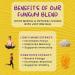 ODD BALLS Organic Energy Balls - Lemon Superfood Snack | Vegan Gluten Free | Perfect for Running Cycling & Hiking | Focus & Energy with Lion's Mane & Cordyceps - Buy Online on GoSupps.com