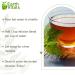 Earth Vitals Detox Tea: Herbal Infusion with Traditional Ayurvedic Herbs | Raw Superfood - Buy Online on GoSupps.com