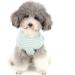 Zunea Dog Shirt for Small Dogs & Cats | Striped Summer Tank Top in Green | Soft Cotton Vest for Puppies | XL Size Clothing - Buy Online on GoSupps.com
