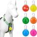 Homeet 6-Pack LED Dog Safety Flashing Light - Clip-On Luminous Band with 3 Flashing Modes for Pet Safety - Buy Online on GoSupps.com