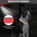 Joytale Neoprene Dog Collar for Medium Dogs | Softly Padded & Nylon Reflective | Red - 1 Pack - Buy Online on GoSupps.com