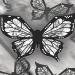 Butterfly Eyeliner Stencil Butterfly Eyeliner Stamp Butterfly Eye Makeup Stencil Butterfly Stencil Eyeliner Tool (5pcs) - Buy Online on GoSupps.com
