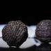 Buy Untit Ballstretch Magnetic Stress Ball - Solo Hand Exercise & Stress Relief | Health Balls for Training & Play - Buy Online on GoSupps.com