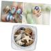 minkissy 1 Box Conch Jewelry Nail Art Decoration Nail Decorations for Nail Art Shell Decor Nail Jewelry Conch Shells Nail Decoration Nail Ornament Nail Stickers 3d False Nails - Buy Online on GoSupps.com