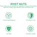 TEHAUX 165pcs Flat Head Rivet Nut Nuts Machine Accessories Pull Rivet Nut Flat Head Threaded Galvanized 2X1.4X1CM - Buy Online on GoSupps.com