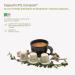 Amorcaffe 50 Home Compostable Compatible with Nespresso Coffee Capsules Pods - Top Arabica - Medium Roast - Buy Online on GoSupps.com