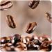 Coffee beans | Peru - 250 grams - Buy Online on GoSupps.com