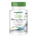 Fairvital | Seaweed mix with 3000mg Spirulina 1000mg Chlorella & 1000mg Barley Grass per daily dose - VEGAN - 500 tablets