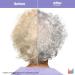 Matrix Total Results So Silver Purple Shampoo 10.1oz - Neutralizes Yellow Tones, Tones Blonde & Silver Hair - Color Depositing Shampoo for Color Treated Hair - Buy Online on GoSupps.com