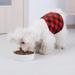 Avont 3-Pack Male Reusable Dog Diapers - Washable Eco-Friendly Belly Bands for Incontinence Dogs Size L (44-54cm) - Shop Now! - Buy Online on GoSupps.com