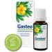 Gasteo Stomach Drops - 6 Unique Gastrointestinal Plants - 20ml for Digestive Relief - Buy Internationally - Buy Online on GoSupps.com