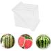 FELTECHELECTR Pumpkin Tools Watermelon Growing for Tool Gardening Supplies Fruit Former Cucumber 15x15cm Transparent - Buy Online on GoSupps.com