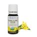 AMRITA Aromatherapy: Organic Ylang Ylang Extra Essential Oil - Cananga odorata - 100% Pure Undiluted & Therapeutic Grade Premium Quality Aromatherapy Oils Tested & Verified - 60ML 60ML(2 Fl Oz)