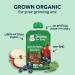 Gerber Organic 2nd Foods Pureed Baby Food Variety Pack - 18 Pouches, 3.5 oz Each - Buy Online on GoSupps.com