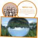 Buy Beavorty Massage Tools | 2x Crystal Fitness Balls for Exercise & Meditation | Hand Healing Hamster Cages & More - Buy Online on GoSupps.com