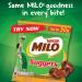Milo Nuggets Chocolate (24 pack - 8.4 oz per pck) The best Colombian and Malaysian snack covered with delicious chocolate flavor - Buy Online on GoSupps.com