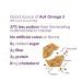 Buy Crunchmaster Rosemary & Olive Oil Multi-Seed Crackers | 4 oz - Healthy Snack Option - Buy Online on GoSupps.com