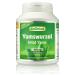 Yams root (Wild Yams) 450 mg high -dose extract (at least 20% diosgenin) 120 capsules vegan - without artificial additives.Without genetic technology.Vegi capsules.
