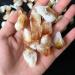 50g Citrine Natural Quartz Crystal Rough and Citrine Natural Rough s