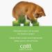 Catit Senses 2.0 Digger 1 Green White - Interactive Cat Toy for Natural Hunting Instincts - Buy Online on GoSupps.com